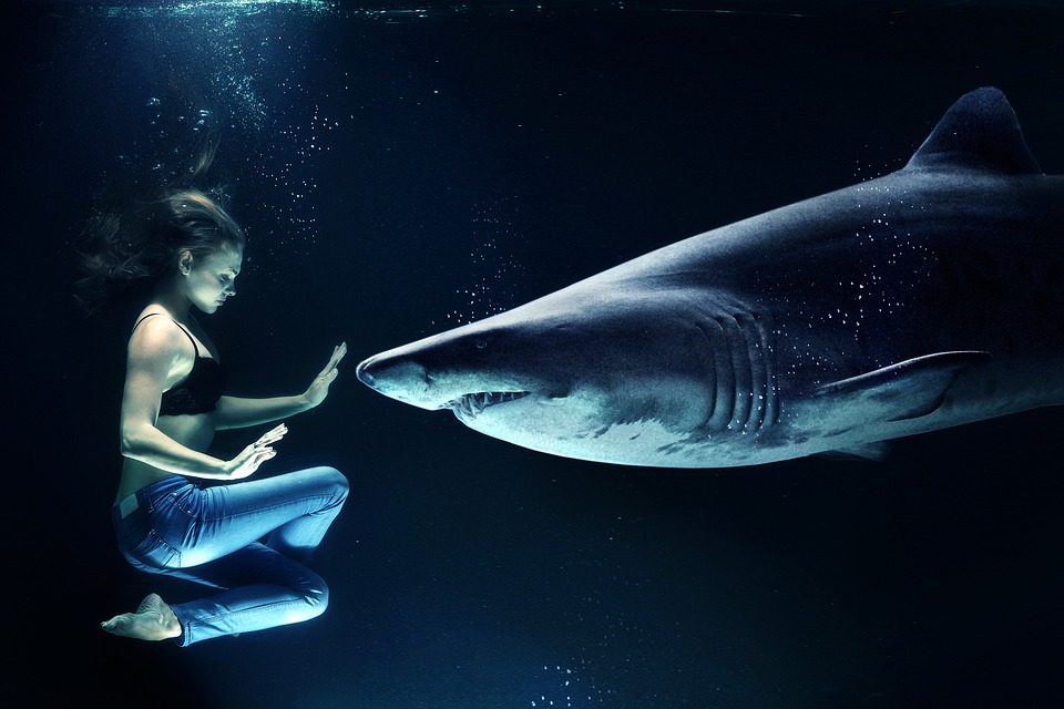 Lure